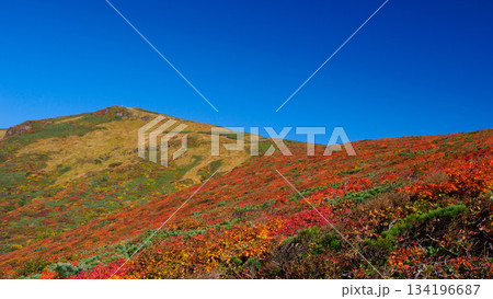 【宮城県】秋の栗駒山_神の絨毯_01 【宮城県】秋の栗駒山_神の絨毯_01 134196687