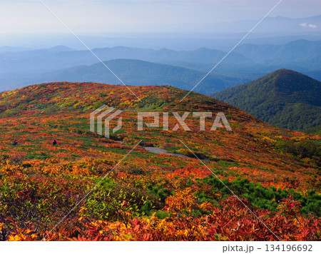 【宮城県】秋の栗駒山_神の絨毯_03 134196692