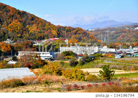 千曲小学校、城下団地周辺を望む(長野県小諸市)【2025.11】 千曲小学校、城下団地周辺を望む(長野県小諸市)【2025.11】 134196794