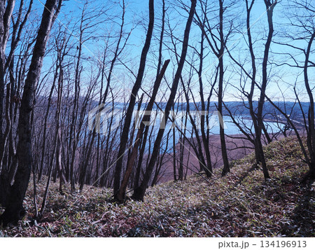 サルボ展望台から見た風景 134196913