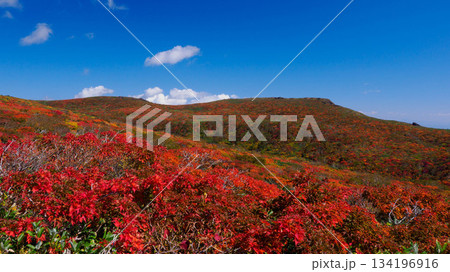 【宮城県】秋の東栗駒山_神の絨毯_04 【宮城県】秋の東栗駒山_神の絨毯_04 134196916