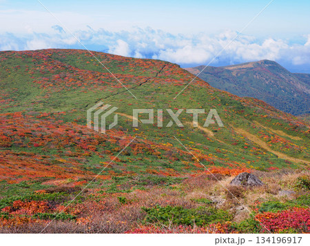 【宮城県】秋の栗駒山_竜泉ヶ原_01 134196917