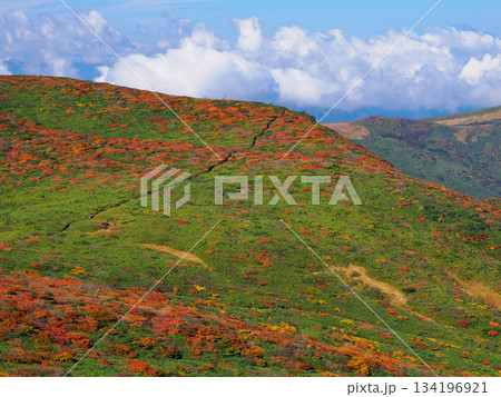【宮城県】秋の栗駒山_竜泉ヶ原_05 134196921