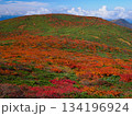 【宮城県】秋の栗駒山_竜泉ヶ原_08 134196924