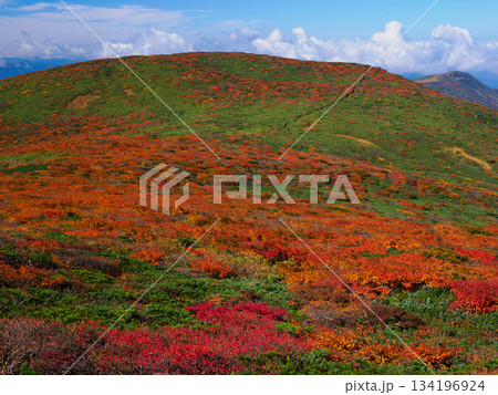 【宮城県】秋の栗駒山_竜泉ヶ原_08 134196924