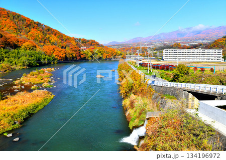 戻り橋/千曲川より下流/西浦ダム方面を望む(長野県小諸市)【2025.11】 戻り橋/千曲川より下流/西浦ダム方面を望む(長野県小諸市)【2025.11】 134196972