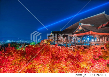 京都　清水寺の紅葉ライトアップと夜景 134197004