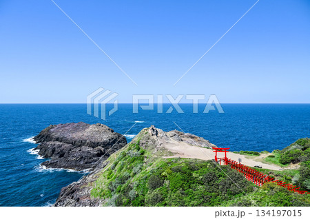 山口県の元乃隅神社、青空と夏の日差し、鳥居の赤色が美しい風景 山口県の元乃隅神社、青空と夏の日差し、鳥居の赤色が美しい風景 134197015