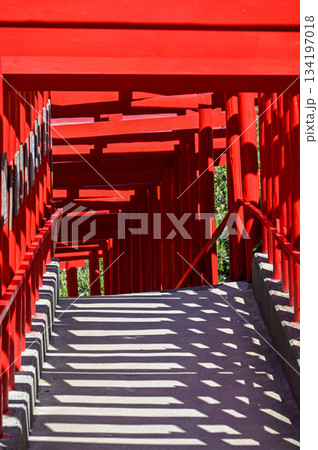 山口県の元乃隅神社、青空と夏の日差し、鳥居の赤色が美しい風景 山口県の元乃隅神社、青空と夏の日差し、鳥居の赤色が美しい風景 134197018