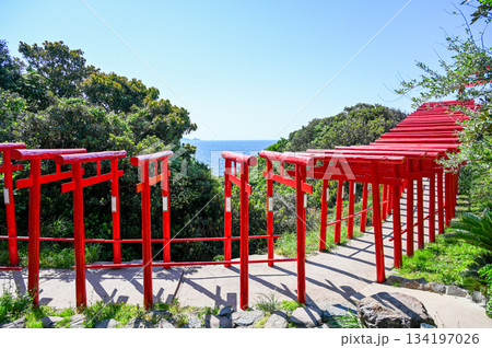 山口県の元乃隅神社、青空と夏の日差し、鳥居の赤色が美しい風景 山口県の元乃隅神社、青空と夏の日差し、鳥居の赤色が美しい風景 134197026
