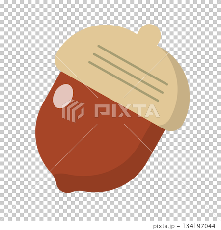 橡子圖標 134197044