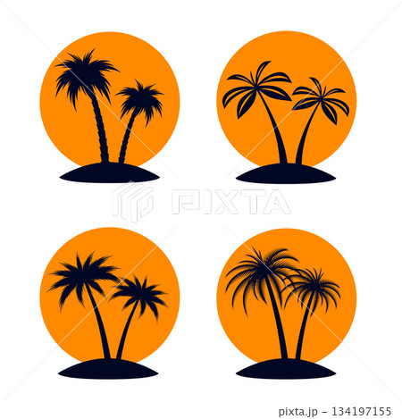 Tropical Palm Trees 134197155