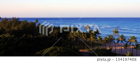 Waikiki Beach Honolulu Hawaii 134197408