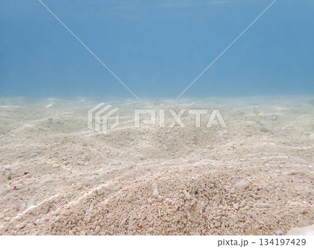 透明度の高い海に広がる白砂の水中風景 134197429
