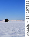 新潟県小千谷市池ヶ原雪原風景 134197532