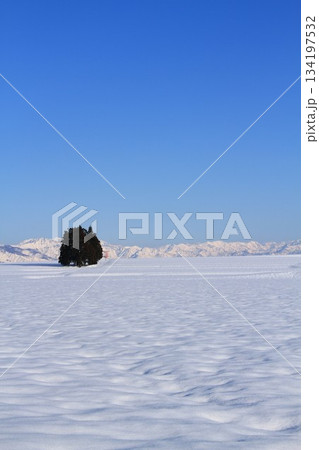 新潟県小千谷市池ヶ原雪原風景 新潟県小千谷市池ヶ原雪原風景 134197532