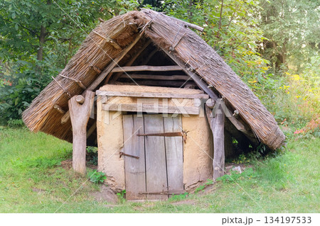 Ancient countryside basement made of clay and wood. Sunny day. Aged wooden peasant house. Retro roof. 134197533