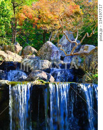 城西公園の庭園 134197717