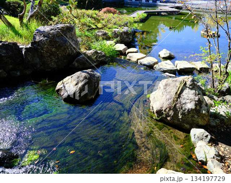 城西公園の庭園 134197729