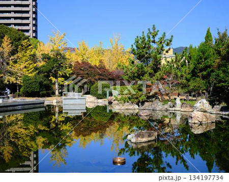 城西公園の庭園 134197734