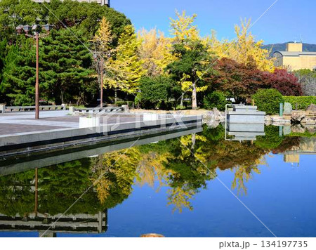 城西公園の庭園 134197735