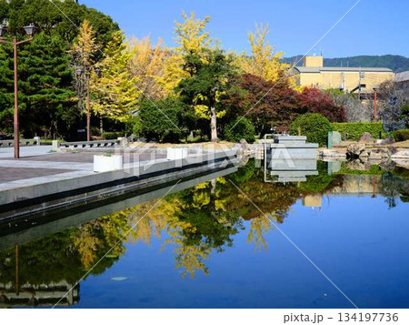 城西公園の庭園 134197736