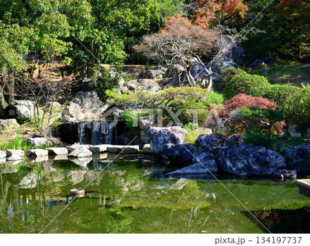 城西公園の庭園 134197737