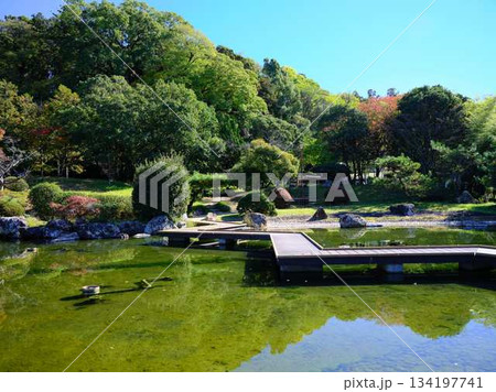 城西公園の庭園 城西公園の庭園 134197741