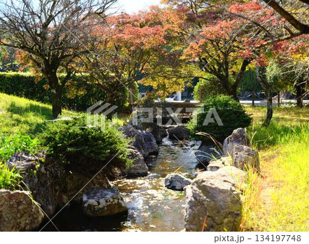 城西公園の庭園 134197748