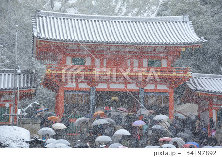雪降る八坂神社の初詣 雪降る八坂神社の初詣 134197892