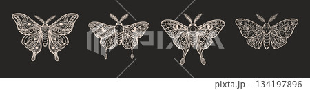 Mystical boho moth set in beige line art on black background 134197896