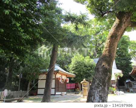 神社の境内にある 134197986