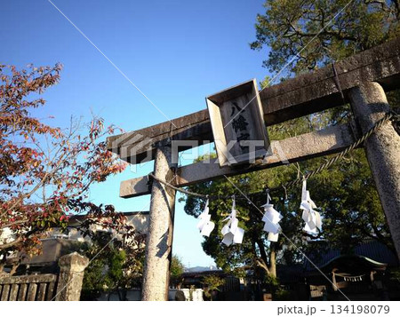 伊野町の神社 134198079
