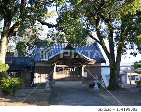 伊野町の神社 134198082