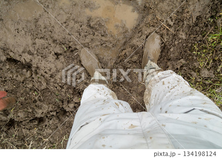 Agriculture 134198124