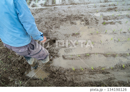 Agriculture 134198126