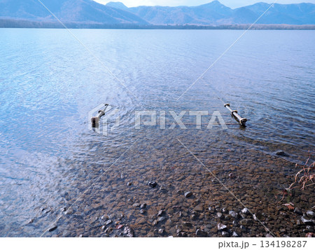 屈斜路湖にある湖底線路 134198287