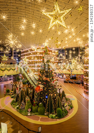 ソウルのピョルマダン図書館のイルミネーション ソウルのピョルマダン図書館のイルミネーション 134198317