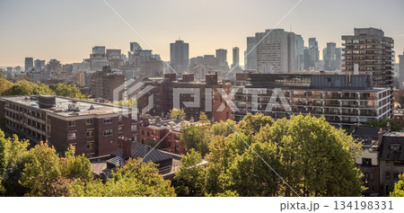 Montreal canada city Skyline in spring 134198331
