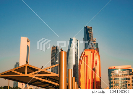 アブダビの鳥と摩天楼 134198505