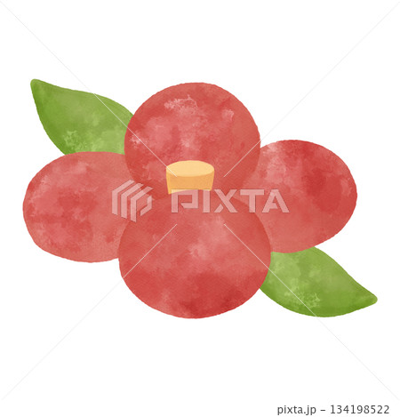 椿の花　水彩イラスト　冬・和風・和柄・装飾素材 134198522