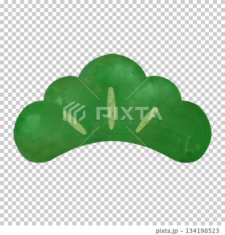 松の枝　水彩イラスト　正月・和風・縁起物の植物素材 134198523