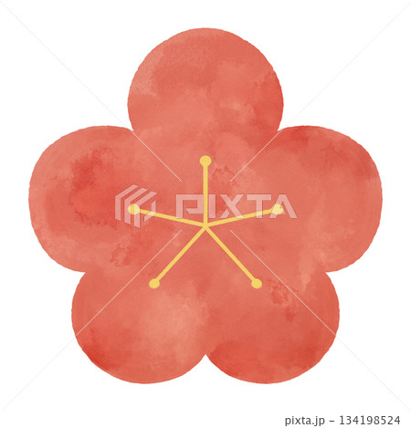 梅の花　水彩イラスト　和風・和柄・春・正月の装飾素材 134198524