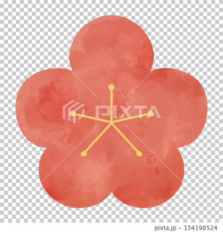 梅の花　水彩イラスト　和風・和柄・春・正月の装飾素材 134198524