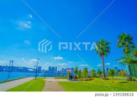 豊洲の青空と芝生公園 134198618