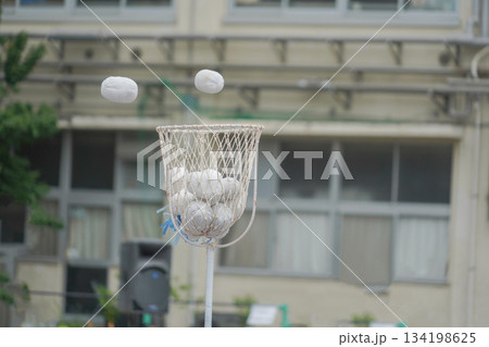 かごいっぱいの白玉 かごいっぱいの白玉 134198625