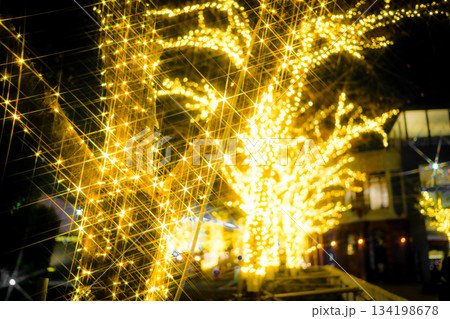 光の並木道夜景 光の並木道夜景 134198678