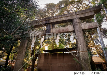 夕日に映える神社の鳥居 134198799