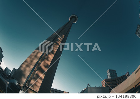 広がる青空とCNタワー 134198800