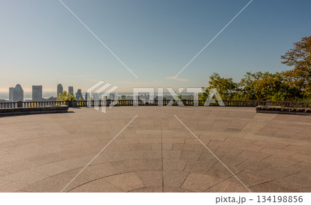 Montreal canada city Skyline in spring 134198856